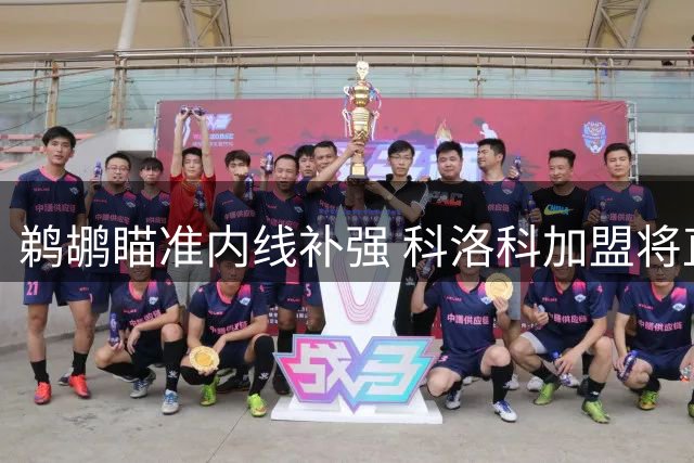鹈鹕瞄准内线补强 科洛科加盟将直面旧将竞争